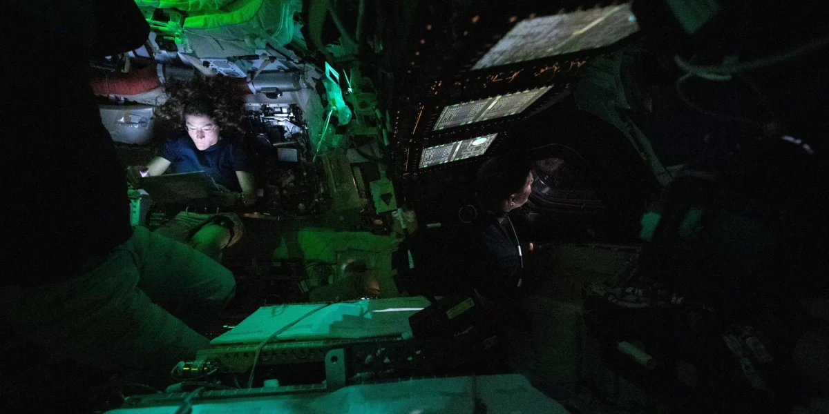 55187055368-7ab1e4c6a4-o-scaled.webp.webp - StiriAlese