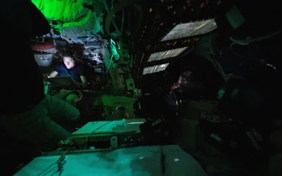 55187055368-7ab1e4c6a4-o-scaled.webp.webp - StiriAlese