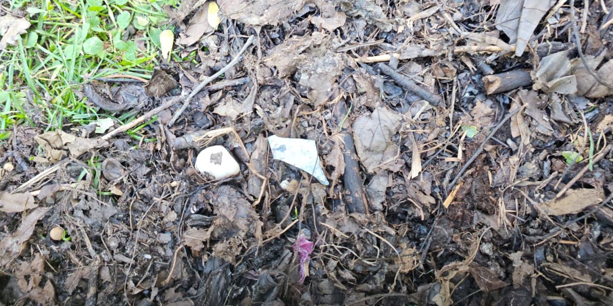 Primăria Sectorului 3 oferă compost gratuit din deșeuri organice