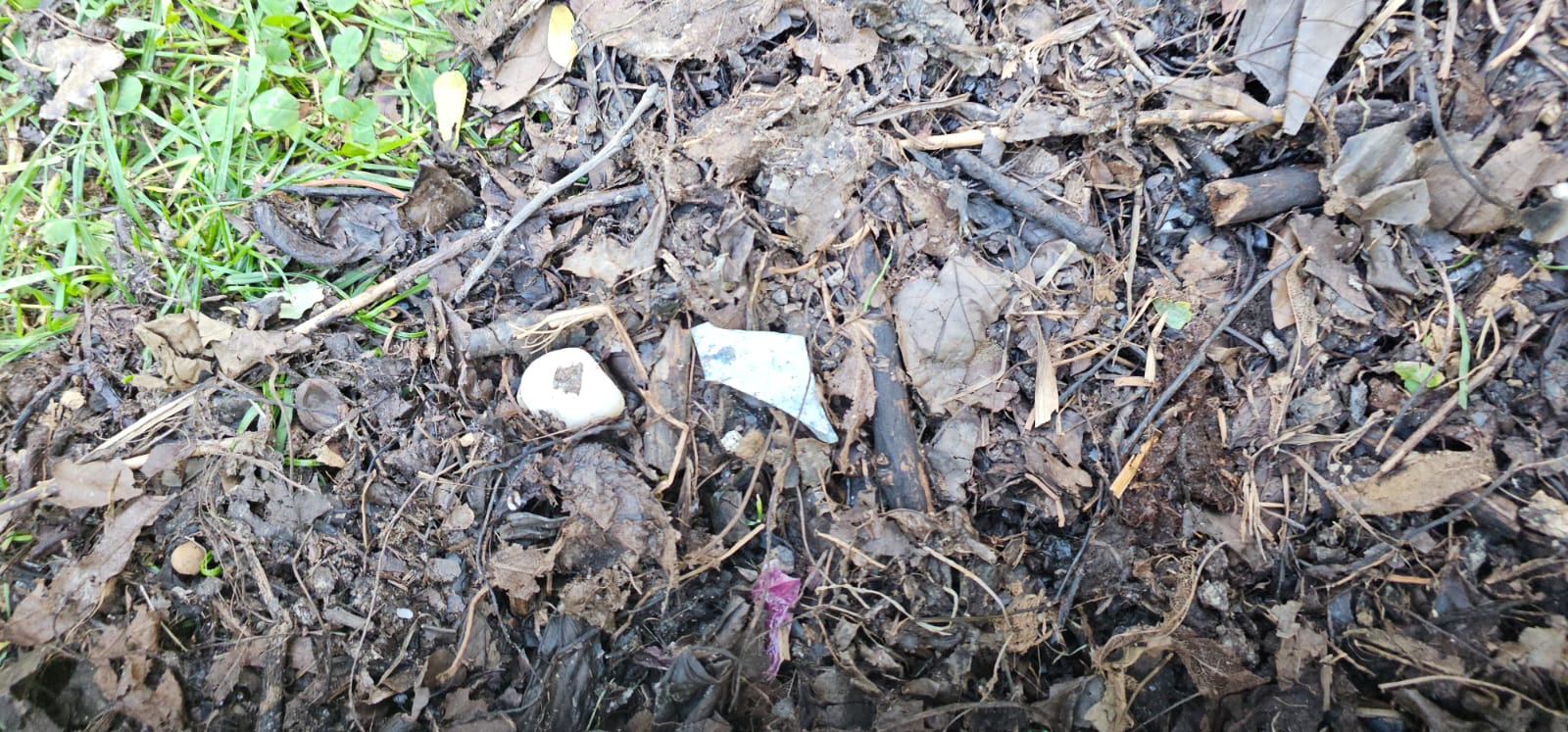 Primăria Sectorului 3 distribuie compost gratuit, dar cetățenii reclamă prezența deșeurilor nebiodegradabile Primăria Sectorului 3 a anunțat recent că oferă gratuit compost pentru grădinile blocurilor, în încercarea de a promova un sistem de gestionare a deșeurilor mai responsabil