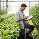 Guvernul pregătește o nouă lege: monitorizarea sustenabilității fermelor din România