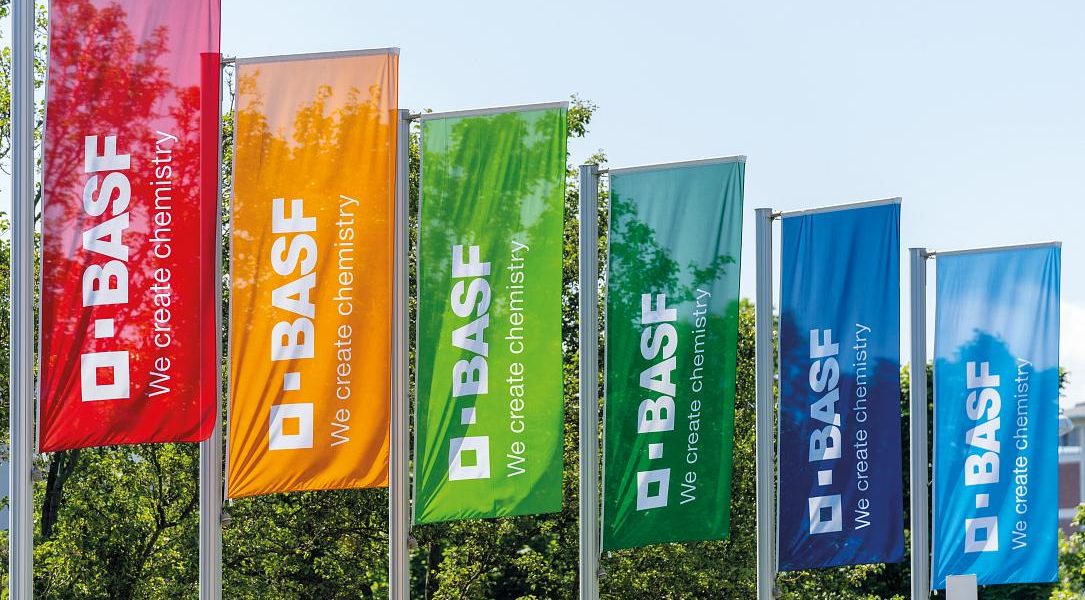 BASF, investiție masivă la București: Peste 50 de posturi noi
