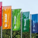 BASF, investiție masivă la București: Peste 50 de posturi noi