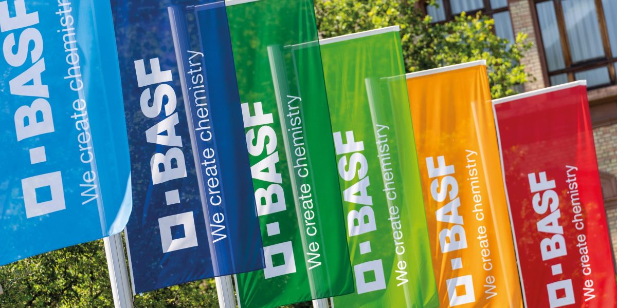 6411_033_BASF_Flags-scaled.jpeg - StiriAlese