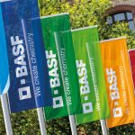 6411_033_BASF_Flags-scaled.jpeg - StiriAlese