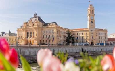 Oradea: Consilierii locali, tun financiar cu posturi de îngrijitori?