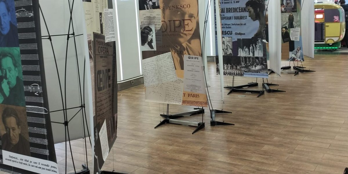 Federaţia Sindicatelor cere DEMITEREA managerului Muzeului Enescu