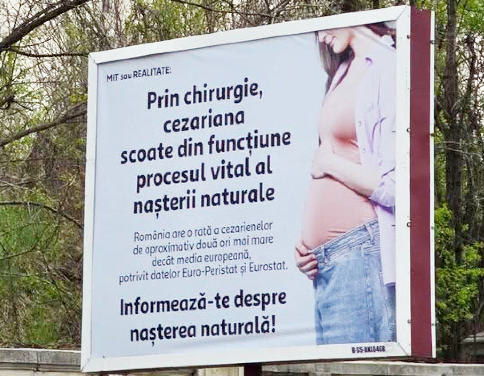 În 2026, România, ținta unor panouri șocante? Senatoarea Păun cere intervenție