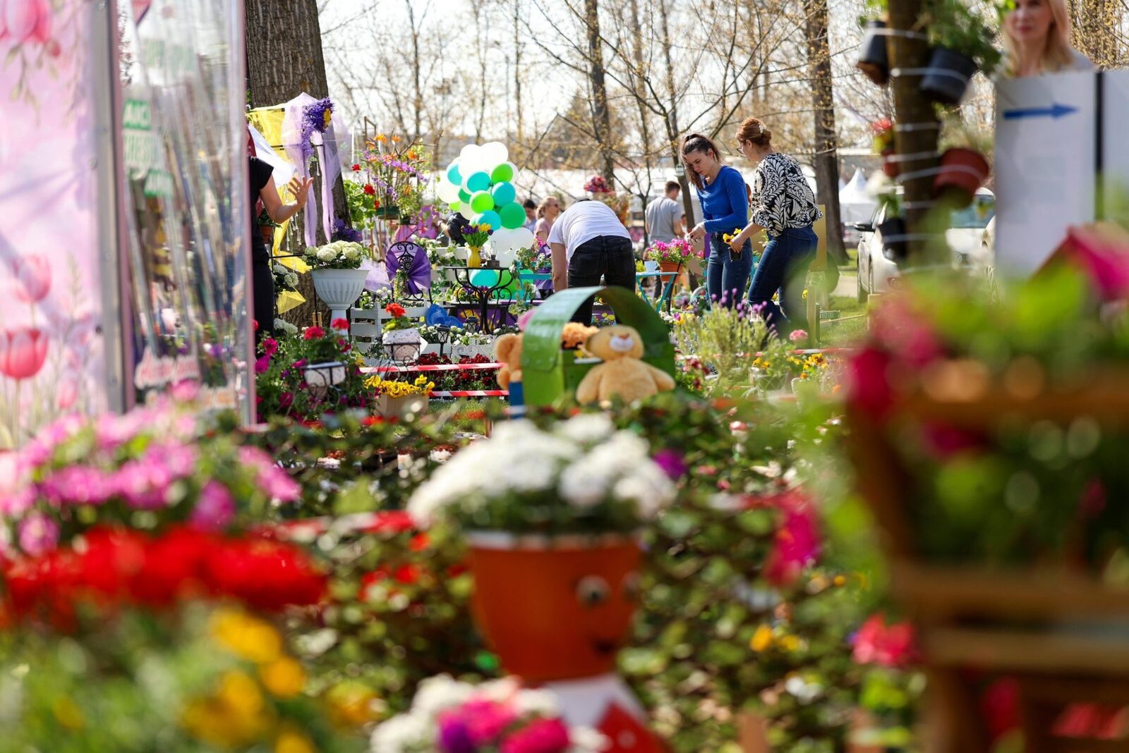 Simfonia Lalelelor, explozie florală la Pitești: Floriști din toată România
