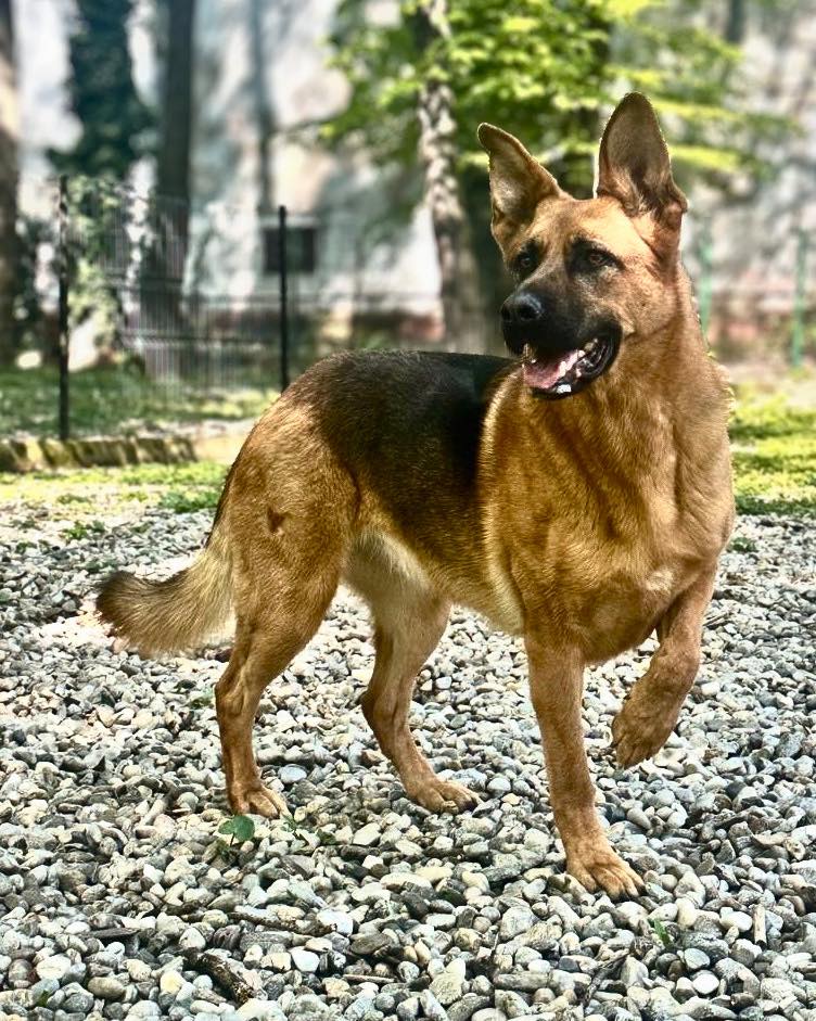 Cum își petrec românii duminica? Sondaj în București și în țară