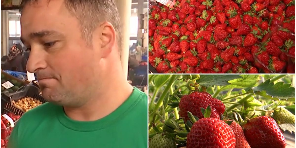 Cât costă deliciul: Primele căpșuni românești, un lux pentru unii