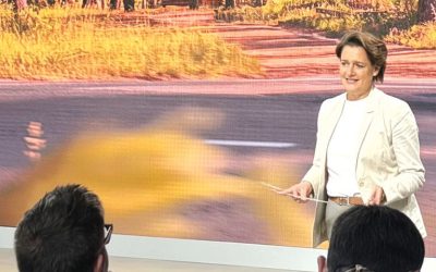 Crizele politice paralizează România, Ungaria atrage investiții. Dacia, mai interesată de Turcia