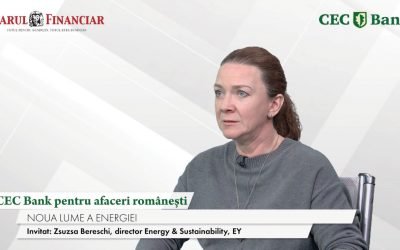 Băncile românești, un atuu pentru afaceri. Zsuzsa BERESCHI: „Resursele sunt un punct forte”