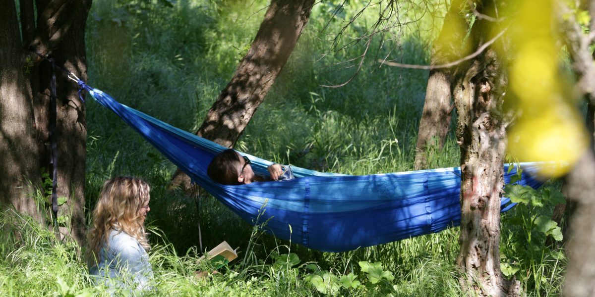 Elevii pot câștiga mii de euro la concursul de natură din școală