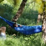 Elevii pot câștiga mii de euro la concursul de natură din școală