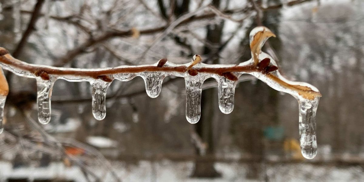 Avertisment pentru utilizatori: Cine poate accesa informațiile și ce riscă Pe fondul creșterii expunerii pe platformele online și a interesului crescut pentru cursuri și programe de specializare, o nouă notă de precizare a devenit centrală pentru utilizatori