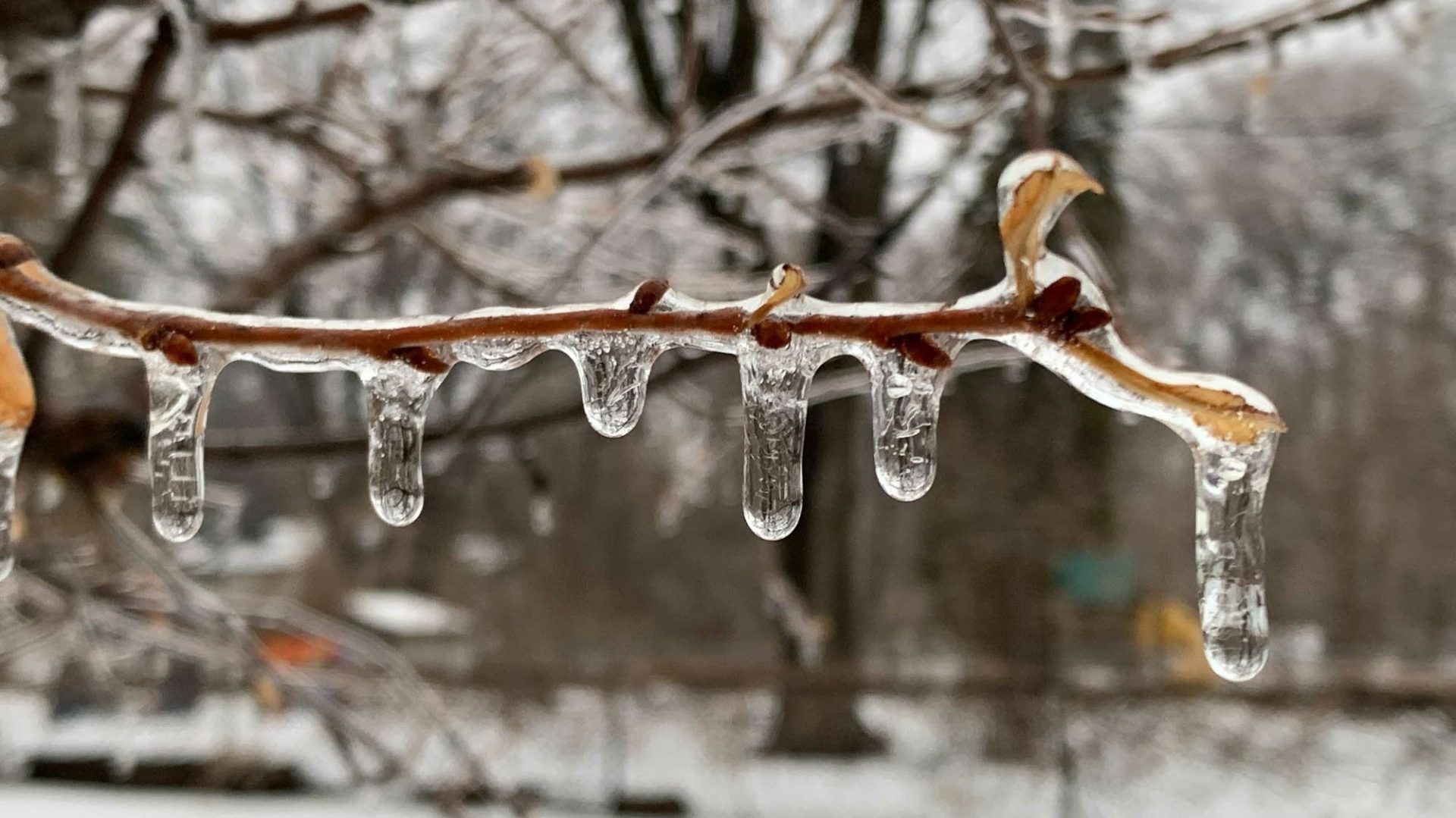 Avertisment pentru utilizatori: Cine poate accesa informațiile și ce riscă Pe fondul creșterii expunerii pe platformele online și a interesului crescut pentru cursuri și programe de specializare, o nouă notă de precizare a devenit centrală pentru utilizatori
