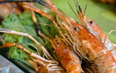 Resturi din pește și fructe de mare, o nouă afacere în Europa