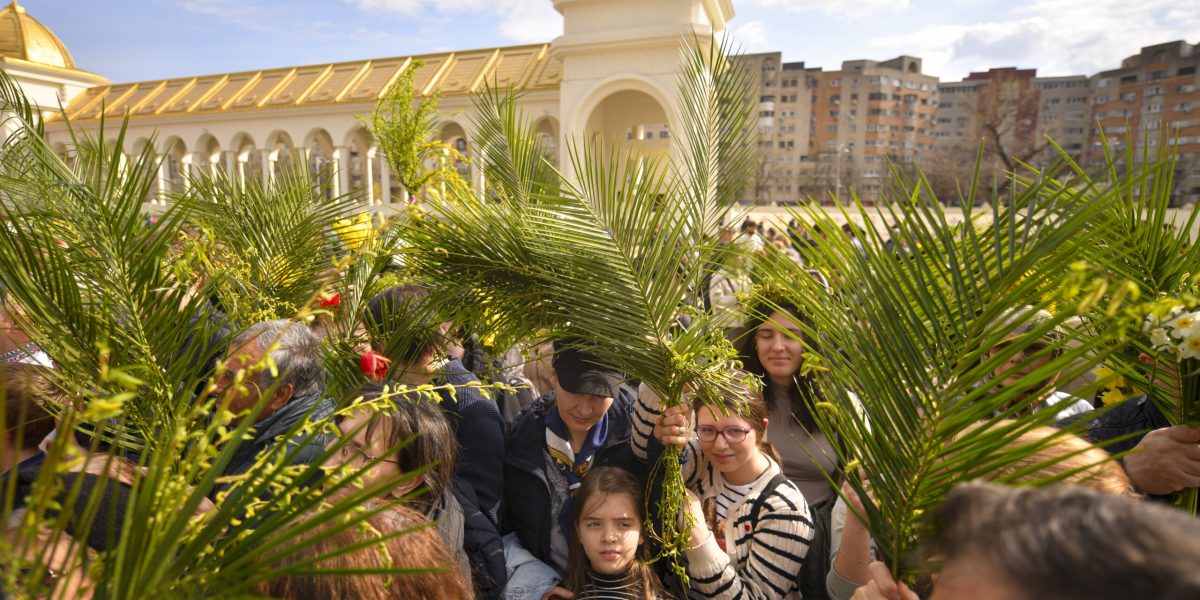 8121446-mediafax_foto-alexandru_dobre-scaled.jpg - StiriAlese