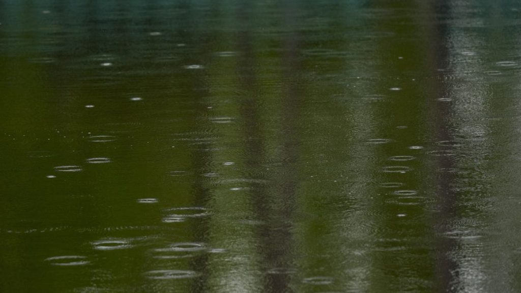 Weather nehotărât la Augusta pentru Masters
