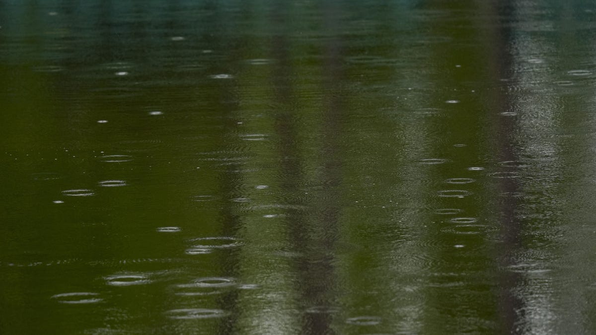 Weather nehotărât la Augusta pentru Masters