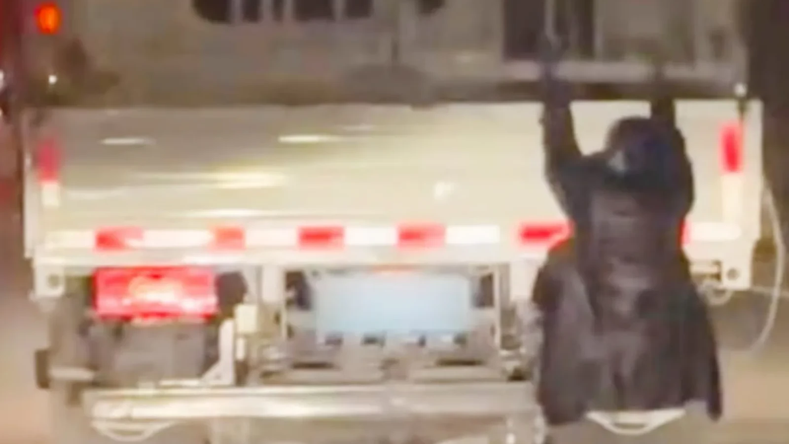Camionul groazei: Polițiștii au dat de un „pasager” neașteptat