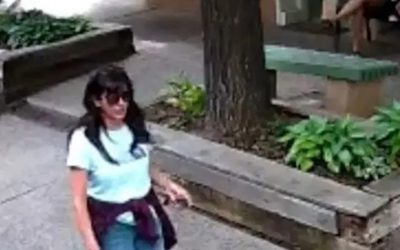 Misterul Savanților Dispăruți în SUA: Ce Leagă Disparițiile?