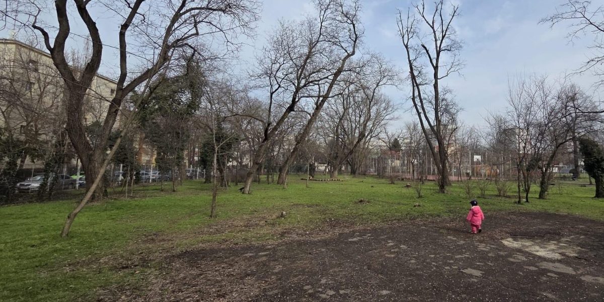 Baza-Sportiva-Ciresarii.jpg - StiriAlese