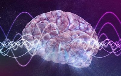 O nouă teorie zguduie neurologia: Mintea nu e doar creier