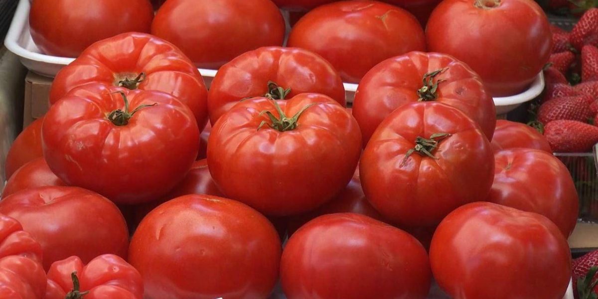 Prețul roșiilor românești în piețe în aprilie 2026: răspunsurile românilor după ce au văzut costurile