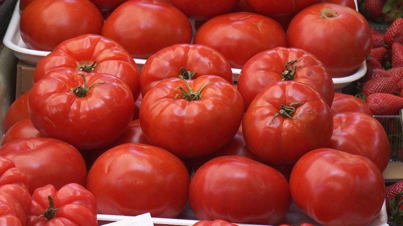 Producătorii români de legume avertizează că prețurile ridicate pentru roșii sunt cauzate de costurile suplimentare generate de temperaturile scăzute și de creșterea consumului de energie, iar aceste costuri se transferă în final către consumatori