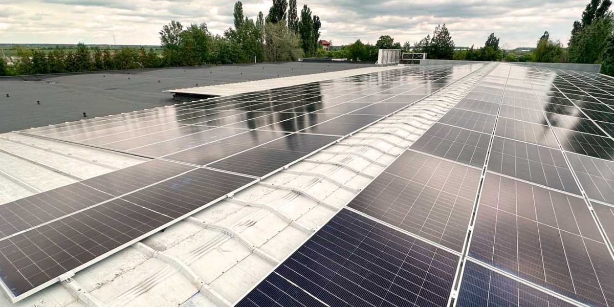 Comunicat-green-volt.jpg - StiriAlese