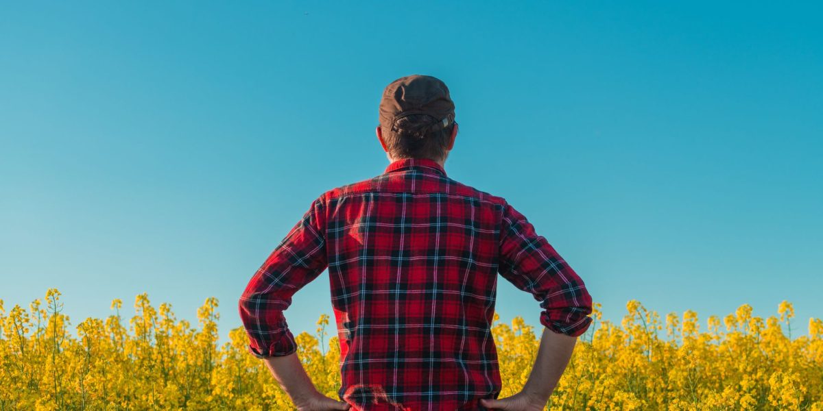 Ce este „manosfera”? Politicieni britanici cer măsuri pentru protecția bărbaților