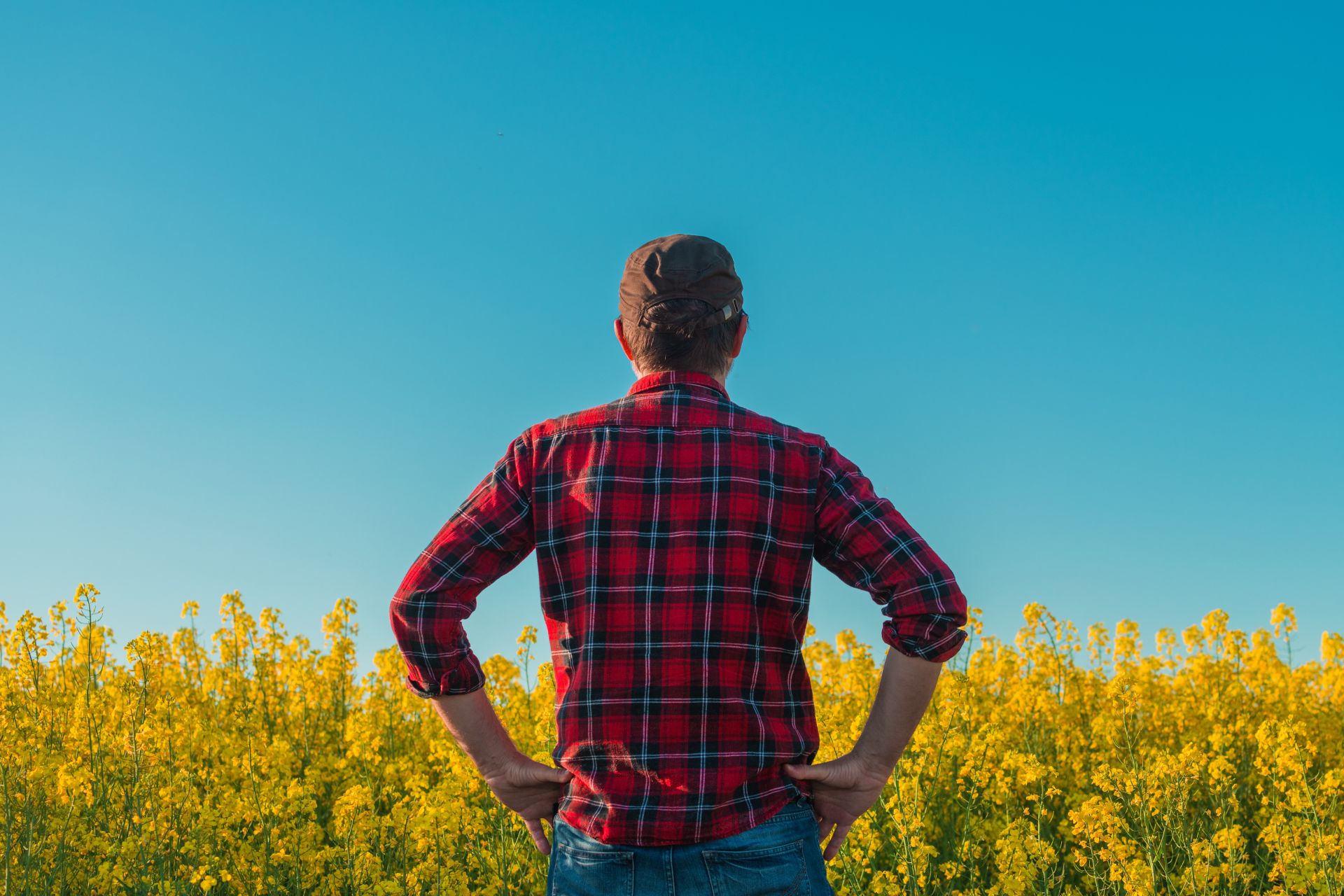 Ce este „manosfera”? Politicieni britanici cer măsuri pentru protecția bărbaților