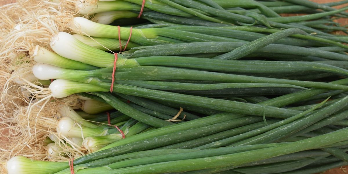 Cum-sa-cresti-ceapa-verde-in-pahar-fara-pamant-si-fara-efort.jpg - StiriAlese