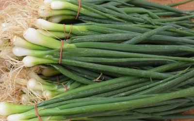 Cum-sa-cresti-ceapa-verde-in-pahar-fara-pamant-si-fara-efort.jpg - StiriAlese