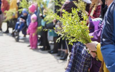 De-ce-apar-ramuri-de-finic-in-Biblie-dar-romanii-duc-salcie-la-biserica-de-Florii.jpg - StiriAlese
