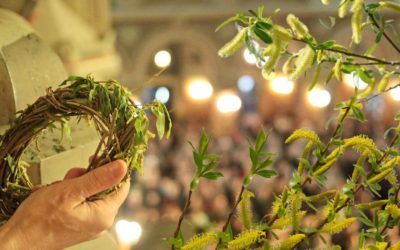 De-ce-e-bine-sa-pastrezi-salcie-sfintita-in-casa.jpg - StiriAlese