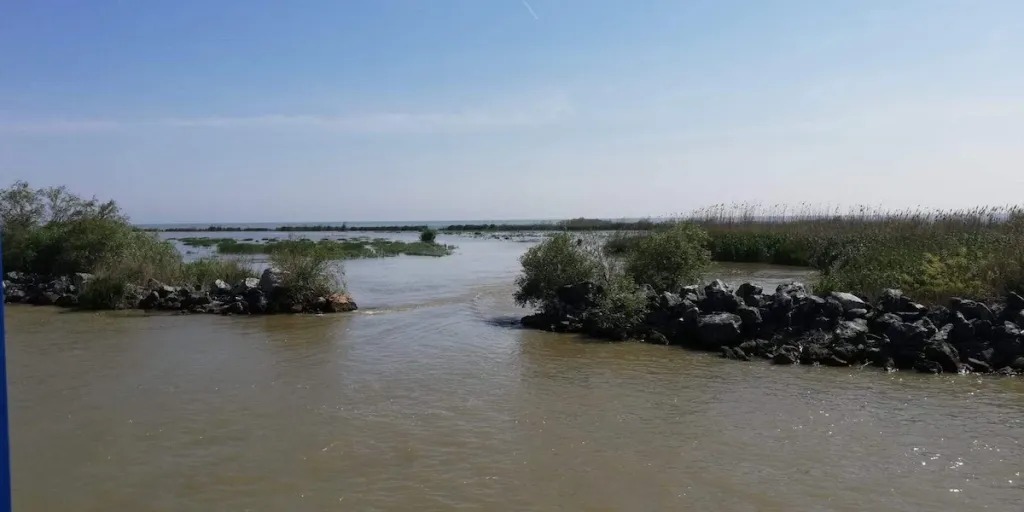 Prohibiția în Delta Dunării, start: peștele, protejat în timpul reproducerii