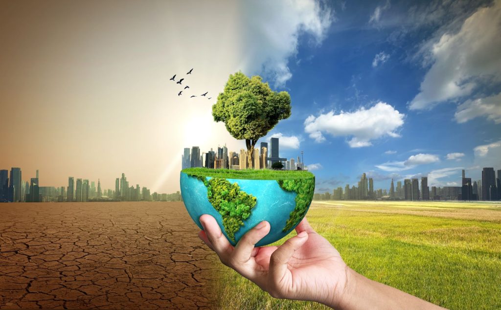 Un nou studiu arată că efectele schimbărilor climatice pot persista de-a lungul mai multor generații, accelerând potențial procesul evoluției animalelor