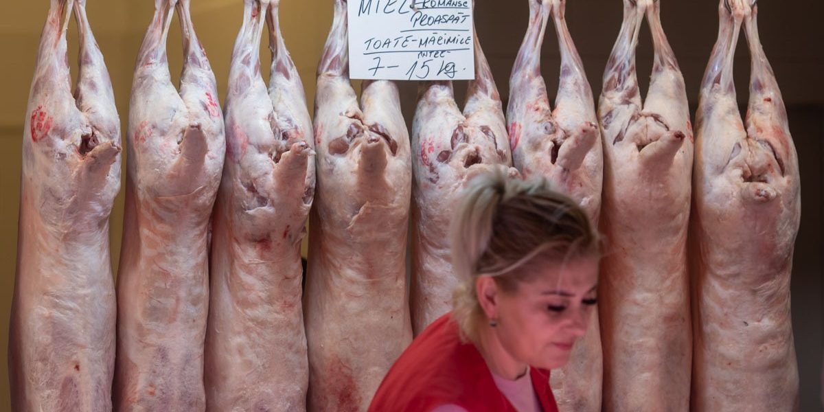 FB1A8623.jpg - StiriAlese