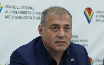 Jianu (IMM România): Afacerile, să ignore „circul” politic de la TV