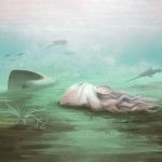 Fosila „cele mai bătrâne caracatițe” e o farsă: Scanările dau verdictul!