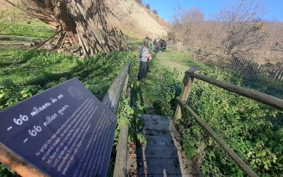 Ministerul Mediului deblochează geoparcurile UNESCO din România