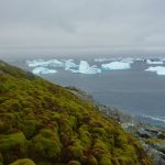 Green-Island.-Credit-Matt-Amesbury-x-1536x826-2.jpg - StiriAlese