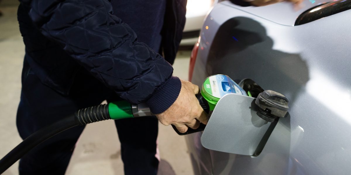 ID191237_INQUAM_Photos_Cornel_Putan.jpg - StiriAlese