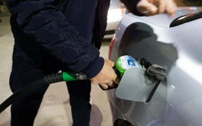 ID191237_INQUAM_Photos_Cornel_Putan.jpg - StiriAlese