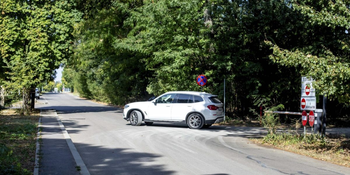 Romsilva a rupt acordul pentru Greenfield: Accesul prin Pădurea Băneasa, blocat