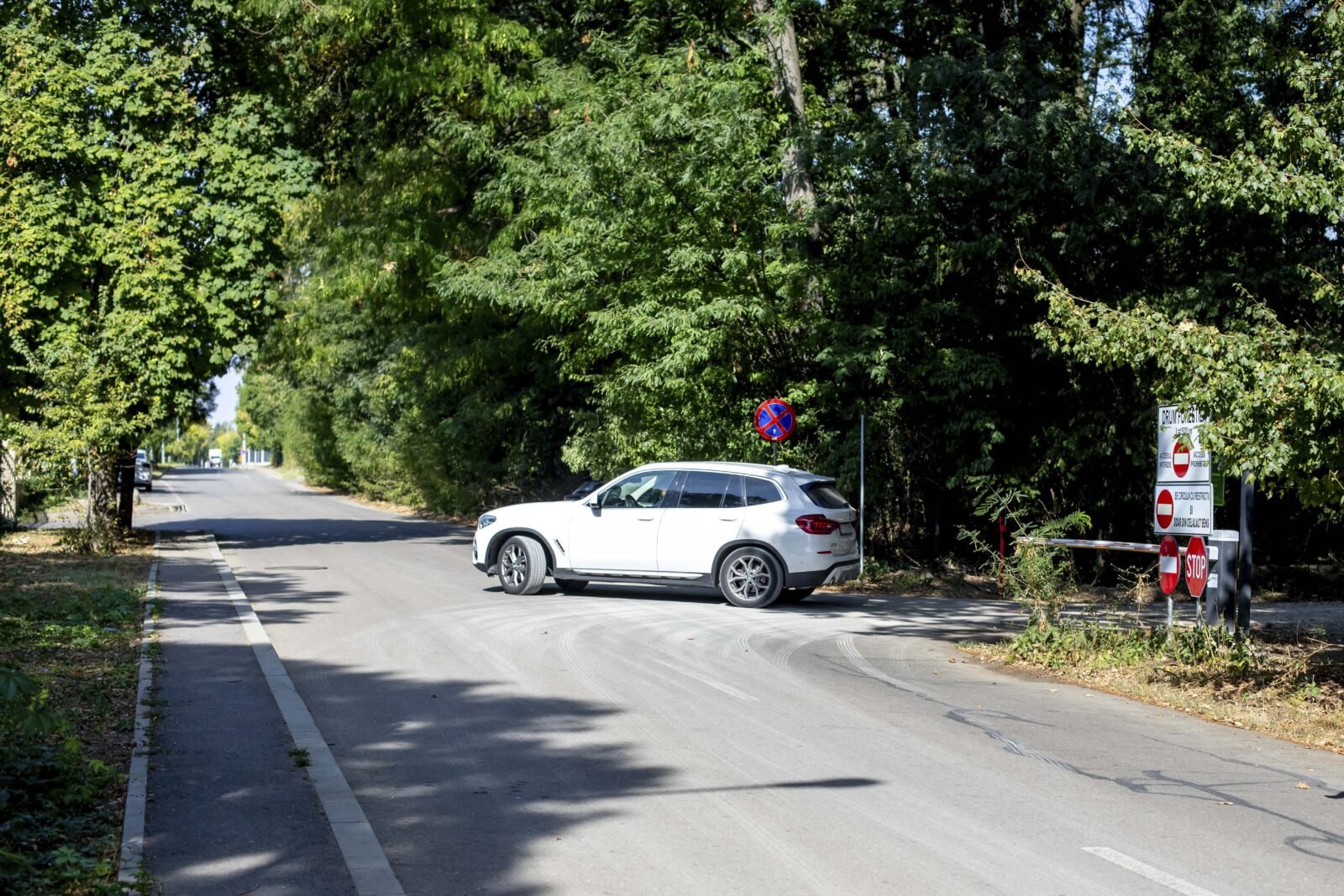 Romsilva a rupt acordul pentru Greenfield: Accesul prin Pădurea Băneasa, blocat