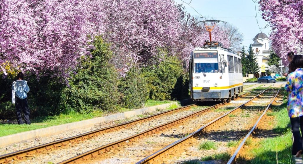 Ciucu, despre șantierele pe tramvai: „Dacă nu le facem, nu le mai facem!”